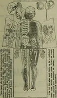 An illustration from Jenner centenary number. (1896)