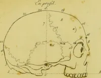 Picture 3 of 4 from Lettre de Charles Villers à Georges Cuvier, de l'Institut national de France, sur une nouvelle théorie du cerveau, par le docteur Gall : ce viscère étant considéré comme l'organe immédiat des facultés morales. (1802), leaf 87