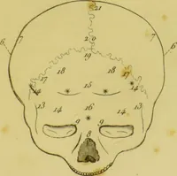 Picture 4 of 4 from Lettre de Charles Villers à Georges Cuvier, de l'Institut national de France, sur une nouvelle théorie du cerveau, par le docteur Gall : ce viscère étant considéré comme l'organe immédiat des facultés morales. (1802), leaf 87