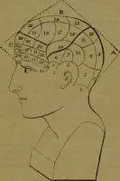 An illustration from A grammar of phrenology, or, An analysis of the faculties of the human mind / by Henry William Dewhurst. (1834)