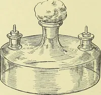 An illustration from Report on the bacteriological diagnosis and the antitoxic serum treatment of cases admitted to the hospitals of the Board during the years 1895 and 1896. / By G. Sims Woodhead. (1899)