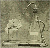 An illustration from Report on the bacteriological diagnosis and the antitoxic serum treatment of cases admitted to the hospitals of the Board during the years 1895 and 1896. / By G. Sims Woodhead. (1899)