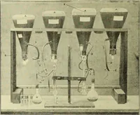 An illustration from Report on the bacteriological diagnosis and the antitoxic serum treatment of cases admitted to the hospitals of the Board during the years 1895 and 1896. / By G. Sims Woodhead. (1899)