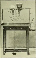 An illustration from Report on the bacteriological diagnosis and the antitoxic serum treatment of cases admitted to the hospitals of the Board during the years 1895 and 1896. / By G. Sims Woodhead. (1899)