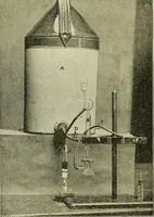 An illustration from Report on the bacteriological diagnosis and the antitoxic serum treatment of cases admitted to the hospitals of the Board during the years 1895 and 1896. / By G. Sims Woodhead. (1899)