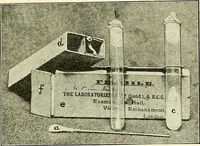 An illustration from Report on the bacteriological diagnosis and the antitoxic serum treatment of cases admitted to the hospitals of the Board during the years 1895 and 1896. / By G. Sims Woodhead. (1899)