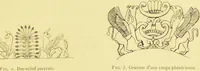 Picture 25 of 67 from La migration des symboles / [Eugène Félicien Albert Goblet d'Alviella]. (1891), leaf 167
