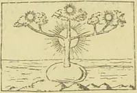 Picture 8 of 67 from La migration des symboles / [Eugène Félicien Albert Goblet d'Alviella]. (1891), leaf 90