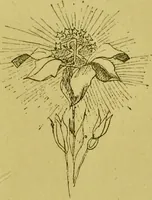An illustration from La magie et l'hypnose : recueil de faits et d'expériences justifiant et prouvant les enseignements de l'occultisme / par Papus ; avec dessins de Ange Bossard, L. Bouchet, L. de Waldner et L. Delfosse. (1897)