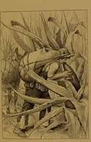 An illustration from Mexico to-day : a country with a great future, and a glance at the prehistoric remains and antiquities of the Montezumas / by Thomas Unett Brocklehurst ; with coloured plates and illustrations from sketches by the author. (1883)