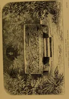 An illustration from Mexico to-day : a country with a great future, and a glance at the prehistoric remains and antiquities of the Montezumas / by Thomas Unett Brocklehurst ; with coloured plates and illustrations from sketches by the author. (1883)