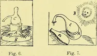 Picture 5 of 6 from Das Ende des Zeitalters der Alchemie und der Beginn der iatrochemischen Periode / von Dr. W. Luzi. (1892), leaf 39