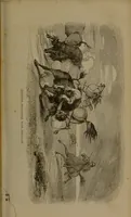 An illustration from The life of Col. John Charles Fremont, and his narrative of explorations and adventures, in Kansas, Nebraska, Oregon and California / the memoir by Samuel M. Smucker. (1856)