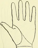 Picture 5 of 11 from Curiosités des sciences occultes / par P.L. Jacob, bibliophile [pseud.]. (1885), leaf 227