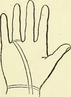An illustration from Curiosités des sciences occultes / par P.L. Jacob, bibliophile [pseud.]. (1885)