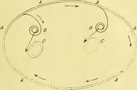 Picture 17 of 107 from Traité méthodique de science occulte / par Papus ; lettre-préface de Ad. Franck. (1891), leaf 173