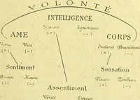 Picture 31 of 107 from Traité méthodique de science occulte / par Papus ; lettre-préface de Ad. Franck. (1891), leaf 251