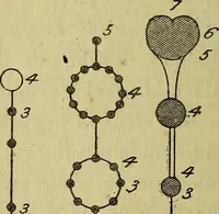 Picture 34 of 107 from Traité méthodique de science occulte / par Papus ; lettre-préface de Ad. Franck. (1891), leaf 262
