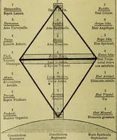 Picture 38 of 107 from Traité méthodique de science occulte / par Papus ; lettre-préface de Ad. Franck. (1891), leaf 274