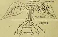 Picture 39 of 107 from Traité méthodique de science occulte / par Papus ; lettre-préface de Ad. Franck. (1891), leaf 310