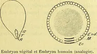 Picture 41 of 107 from Traité méthodique de science occulte / par Papus ; lettre-préface de Ad. Franck. (1891), leaf 321