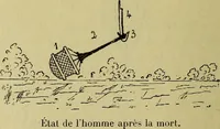 Picture 47 of 107 from Traité méthodique de science occulte / par Papus ; lettre-préface de Ad. Franck. (1891), leaf 356