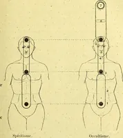 Picture 50 of 107 from Traité méthodique de science occulte / par Papus ; lettre-préface de Ad. Franck. (1891), leaf 395