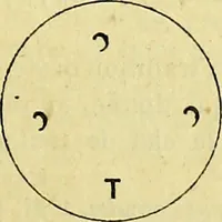 An illustration from Traité méthodique de science occulte / par Papus ; lettre-préface de Ad. Franck. (1891)