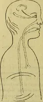 Picture 75 of 107 from Traité méthodique de science occulte / par Papus ; lettre-préface de Ad. Franck. (1891), leaf 866