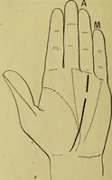Picture 80 of 107 from Traité méthodique de science occulte / par Papus ; lettre-préface de Ad. Franck. (1891), leaf 874