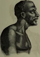 An illustration from La tête humaine : études de phrénologie et de physiognomonie appliquées aux personnages célèbres de l'antiquité et des temps modernes : avec 75 figures intercalées dans le texte / par Charles Rouvin. (1877)