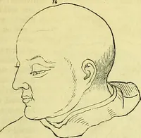 An illustration from Outlines of phrenology / by the late J.G. Spurzheim. (1844)