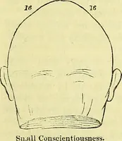 Picture 13 of 22 from Outlines of phrenology / by the late J.G. Spurzheim. (1844), leaf 13