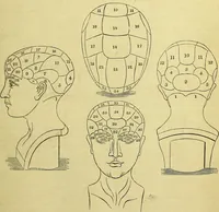 An illustration from A sketch of the natural laws of man / by the late J.G. Spurzheim. (1844)