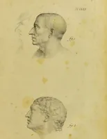 An illustration from Phrenology, in connexion with the study of physiognomy / by G. Spurzheim. (1826)
