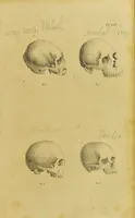 An illustration from Phrenology, in connexion with the study of physiognomy / by G. Spurzheim. (1826)