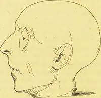 An illustration from The constitution of man considered in relation to external objects / by George Combe. (1860)