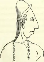 An illustration from Crania americana or, A comparative view of the skulls of various aboriginal nations of North and South America : to which is prefixed an essay on the varities of the human species / by Samuel George Morton. (1839)