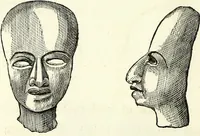 An illustration from Crania americana or, A comparative view of the skulls of various aboriginal nations of North and South America : to which is prefixed an essay on the varities of the human species / by Samuel George Morton. (1839)