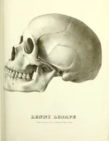 Picture 116 of 143 from Crania americana or, A comparative view of the skulls of various aboriginal nations of North and South America : to which is prefixed an essay on the varities of the human species / by Samuel George Morton. (1839), leaf 393