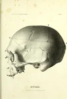 Picture 142 of 143 from Crania americana or, A comparative view of the skulls of various aboriginal nations of North and South America : to which is prefixed an essay on the varities of the human species / by Samuel George Morton. (1839), leaf 471