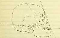 An illustration from Introduction a l'étude philosophique et pratique de la phrénologie. (1845)