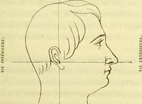 An illustration from Introduction a l'étude philosophique et pratique de la phrénologie. (1845)