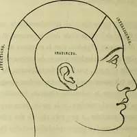 An illustration from Introduction a l'étude philosophique et pratique de la phrénologie. (1845)