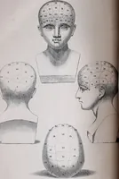 An illustration from A key to phrenology : containing a brief statement of the faculties of the mind, the history and practical uses of phrenology / by a member of the Phrenological Society. (1836)