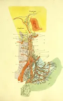 Picture 2 of 5 from Plates of the thoracic and abdominal nerves, reduced from the original ... accompanied by coloured explanations, and a description of the par vagum, great sympathetic and phrenic nerves. (1822), leaf 31