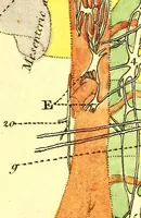 An illustration from Plates of the thoracic and abdominal nerves, reduced from the original ... accompanied by coloured explanations, and a description of the par vagum, great sympathetic and phrenic nerves. (1822)