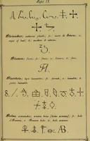 An illustration from Die Geheimsymbole der Chemie und Medicin des Mittelalters : eine Zusammenstellung der von den Mystikern und Alchymisten gebrauchten geheimen Zeichenschrift, nebst einem kurzgefassten geheimwissenschaftlichen Lexikon / von G.W. Gessmann. (1899)