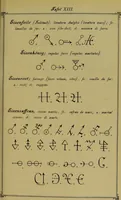 An illustration from Die Geheimsymbole der Chemie und Medicin des Mittelalters : eine Zusammenstellung der von den Mystikern und Alchymisten gebrauchten geheimen Zeichenschrift, nebst einem kurzgefassten geheimwissenschaftlichen Lexikon / von G.W. Gessmann. (1899)