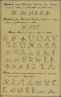 An illustration from Die Geheimsymbole der Chemie und Medicin des Mittelalters : eine Zusammenstellung der von den Mystikern und Alchymisten gebrauchten geheimen Zeichenschrift, nebst einem kurzgefassten geheimwissenschaftlichen Lexikon / von G.W. Gessmann. (1899)